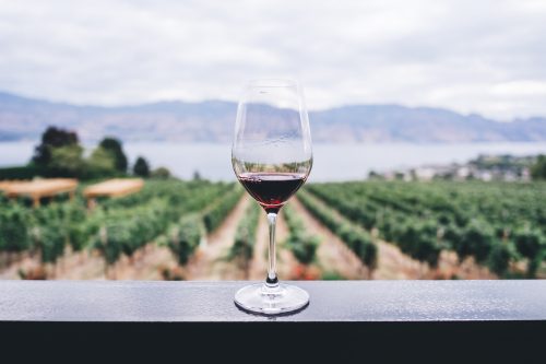 Consejos para iniciarte en el vino