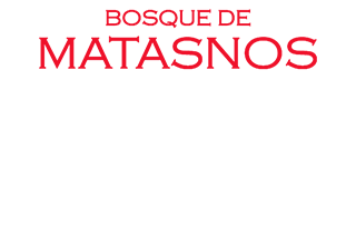 Logo Bodega Bosque de Matasnos